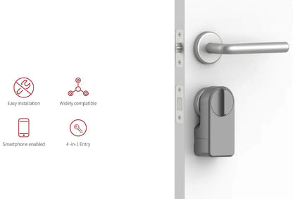 RAYKUBE A1 Pro Tuya BEL Smart Door Lock Set with Fobs/ Keypad/ Smart Key Tuya Remote Unlock Work with Alexa Google Assistant