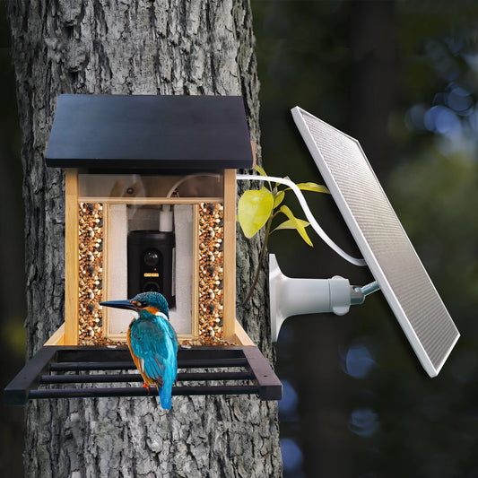 1080P Bird Feeder Camera Built-in Battery Solar Low Power Night Vision Outdoor IP66 Waterproof 2.4G WIFI Camera Connected Feeder