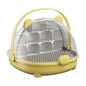 Breathable Hole Silkworm Breeding Box Folable Handle Plastic Insect Habitat Cage Visible Door Silkworm Observation Cabin Student