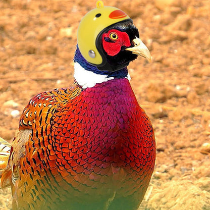 Funny Chicken Helmet Small Bird Duck Quail Hard Hat Headgear Prevent The Chicken From Smash Protect For Hens Head Pet Supplies