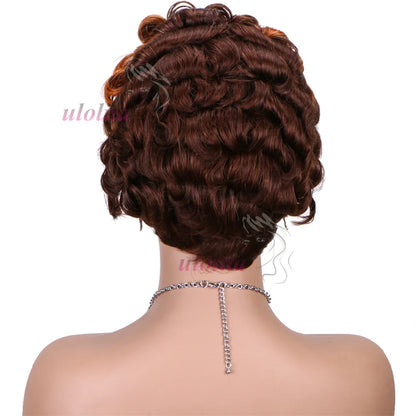 Pixie Cut Wig Short Curly Lace Front Human Hair Wigs For Black Women Raw Indian Finger Wave 13x4 Transparent Lace Frontal Wigs