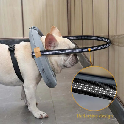 Blind Dog Collar Pet Safety Harness Adjustable Reflective Guiding Device Collar Anti Collision for Blind Dog and Cats Protection