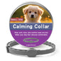 Dog Anti Flea And Ticks Cats Collar Pet 8Month Protection Retractable Pet Collars For Puppy Cat Large Dogs Accessories