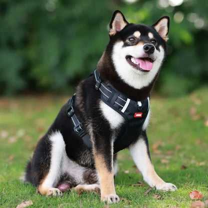 Reflective Dog Chest Strap Pet Leash Vest Type Explosion-proof Flushing Puppy Chest and Back Pet Products